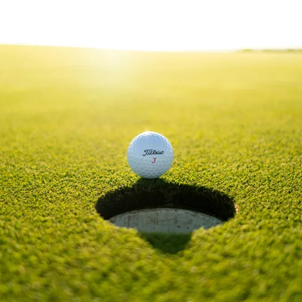 Golf Experience with Handicap Certification - Image 2