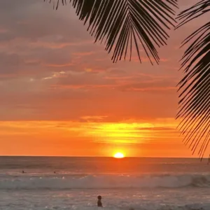 SOLD OUT<br/>Surf Experience